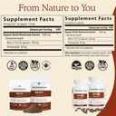 Real Mushrooms Reishi Mushroom Powder - Handpicked Organic Mushroom Extracts - Red Reishi for Tranquil Daily Wellness with Verified Beta Glucans Vegan, Non-GMO, No Grain Fillers, 45 Servings 4