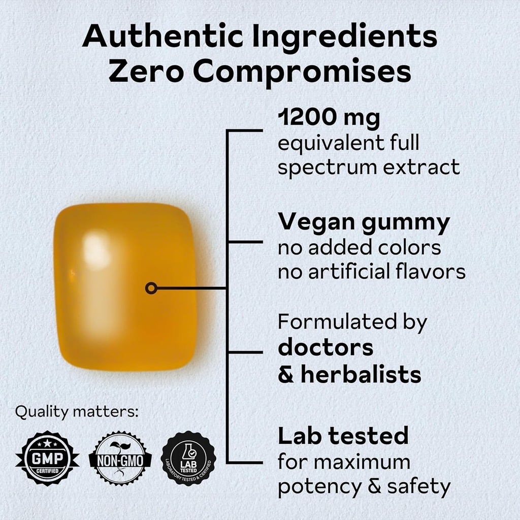 Reishi Mushroom Gummies | Hongo Reishi Mushroom Supplement Gummies (Lingzhi, Ganoderma Lucidum) | Full Spectrum Stress Gummies for Adults | Red Reishi Mushroom | Strawberry Flavor | 45 Count 4