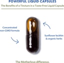 Motherlove More Milk Plus (180 Liquid caps) Fenugreek-Based Lactation Supplement to Support Breast Milk Supply—Non-GMO, Organic Herbs, Vegan, Kosher 5