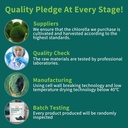 Chlorella Powder Natural with 16 oz - Chlorophyll Powder, Supports Immune System & Liver Function, Keep Youth, Vegan, Rich in Vegan Protein and Vitamins. 3