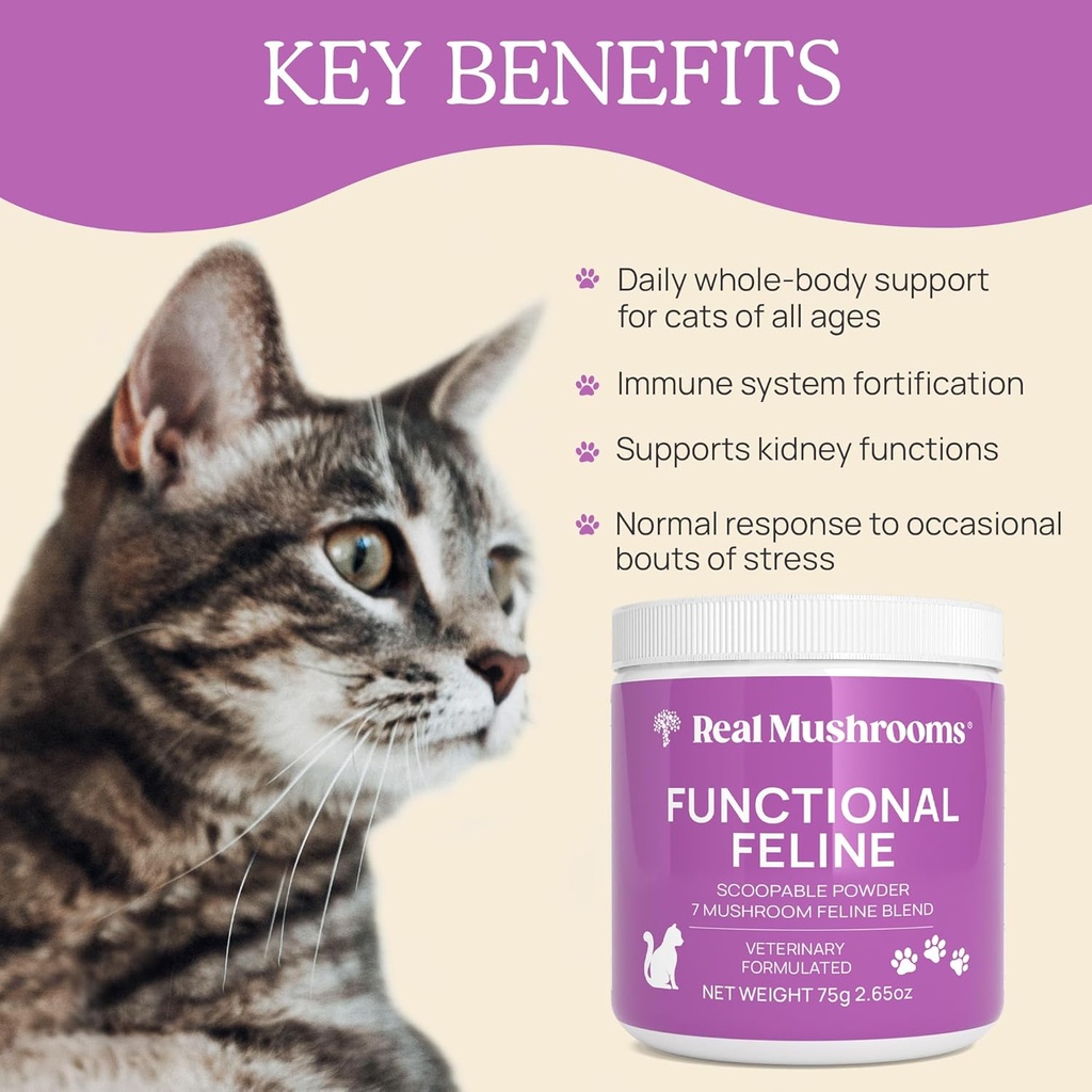 Real Mushrooms Cat Supplement Powder – Organic Mushroom Blend with Antarctic Krill & Ashwagandha – Cat Vitamins for Older Cats or Kittens – 2.65 oz Functional Feline Formula 6
