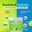 Electrolytes Powder No Sugar, Electrolyte Drink Mix, 5 Vitamins & 6 Electrolytes, Keto Friendly, Potassium & Salt, Sugar Free Hydration Powder, Lemon Flavour 300g 5