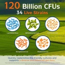 Innate Vitality Probiotics 120 Billion CFUs for Men & Women, 34 Strains with Prebiotics & Digestive Enzymes, Immune & Digestive Health, Delayed Release, Shelf Stable, 30 Vegan Capsules 4