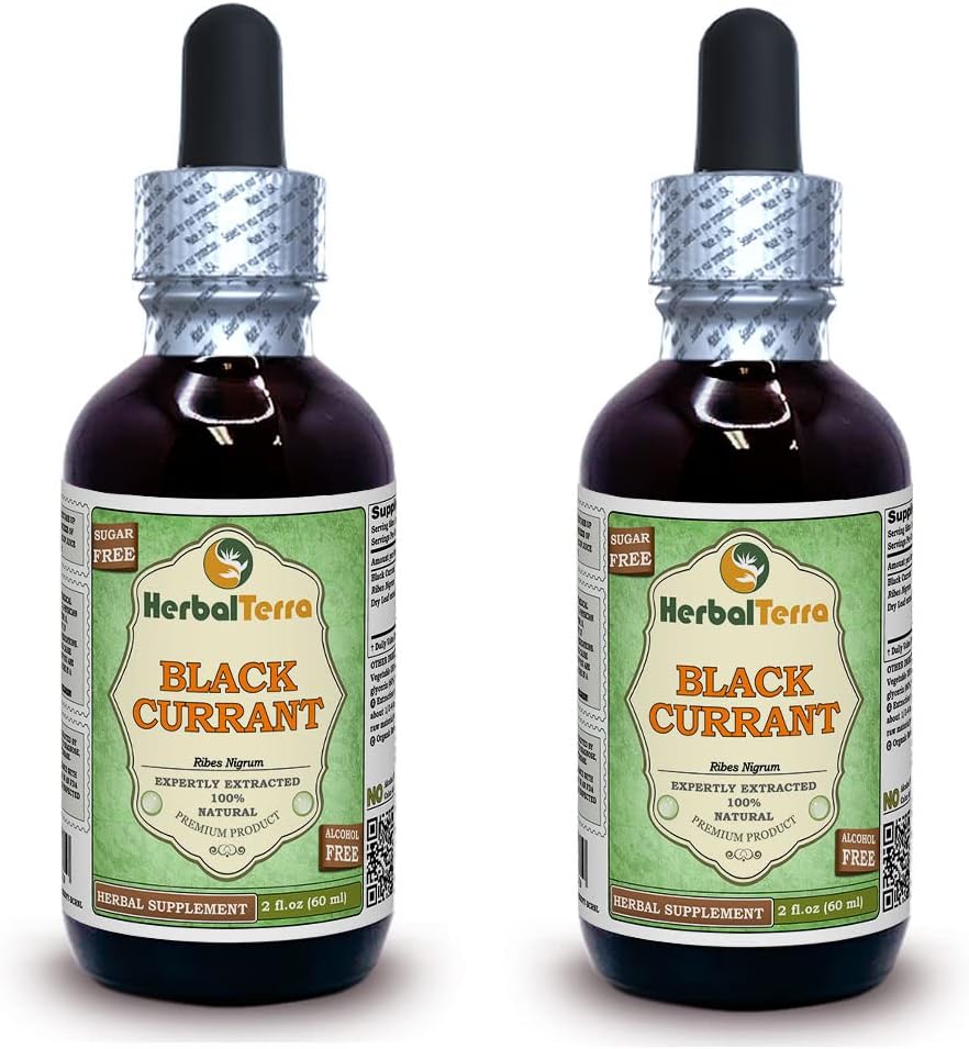 Black Currant (Ribes nigrum) Tincture, Dried Leaves Liquid Extract (Brand Name: HerbalTerra, Proudly Made in USA) 20x4 fl.oz (20x120 ml) 5