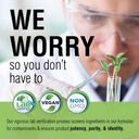 Solaray Kelp 550 mg with Folic Acid for Healthy Thyroid Function, Energy & Metabolism Support | Non-GMO | 180 VegCaps 5