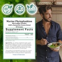 Holistic Bin Marine Phytoplankton Powder – Sustainably Cultivated in Nordic Green Water Farm – Nutrient-Dense Omega-3 Superfood – Rich in Amino Acids, Chlorophyll, Vitamins & Trace Minerals – 50 Grams 4