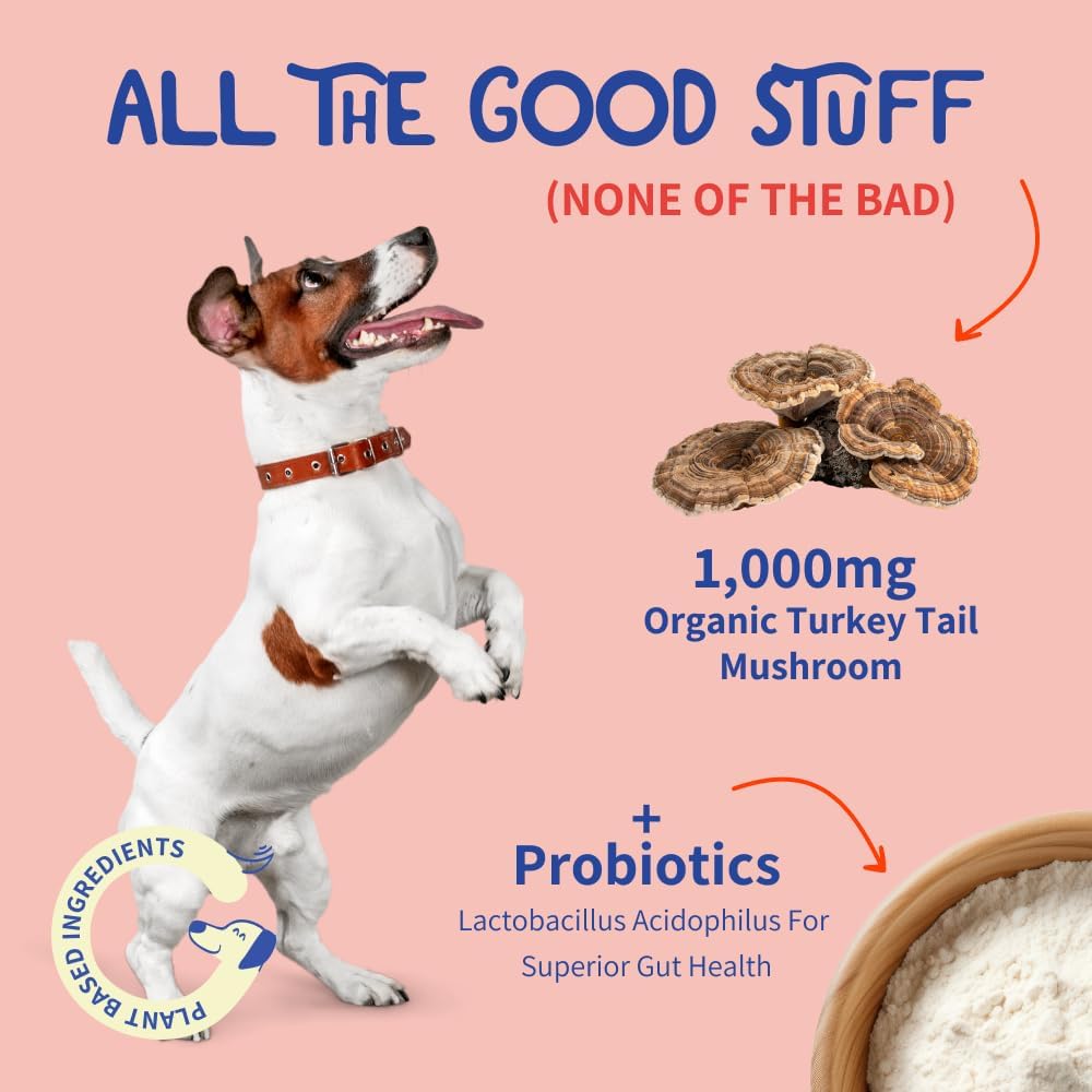 Turkey Tail Mushroom + Probiotics for Dogs – Lump & Lipoma Support, Gut & Immune Health, Energy & Vitality – Reishi + Turkey Tail Powder, 100 Servings 5