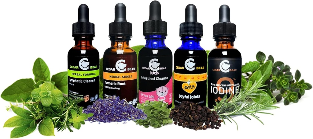 Cedar Bear Lymphatic Cleanse for Kids - Liquid Herbal Supplement That Supports Healthy Lymphatic & Immune Function 2 fl oz (Pack of 1) 4