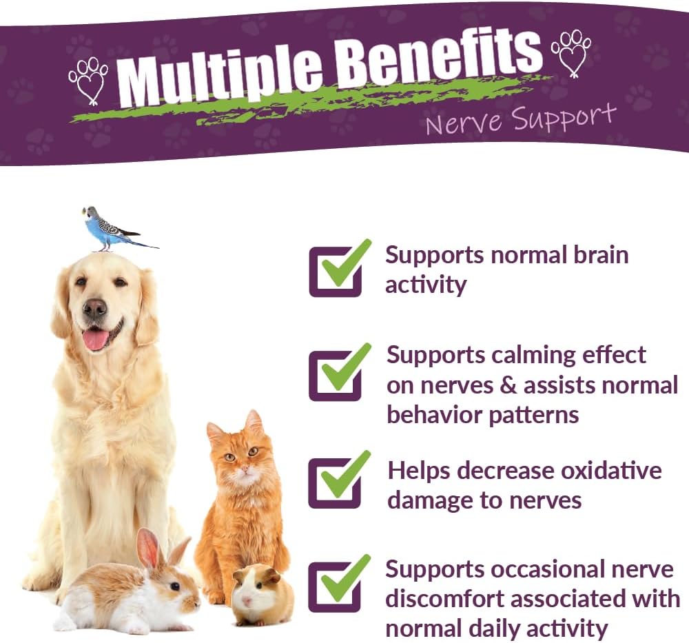 Amber NaturalZ DermaNERV Herbal Supplement for Dogs, Cats, Birds, Rabbits, and Guinea Pigs | Supports Central Nervous System Health & Balanced Behavior | Natural Aid for Healthy Nerve Functions 3