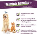Amber NaturalZ DermaNERV Herbal Supplement for Dogs, Cats, Birds, Rabbits, and Guinea Pigs | Supports Central Nervous System Health & Balanced Behavior | Natural Aid for Healthy Nerve Functions 3