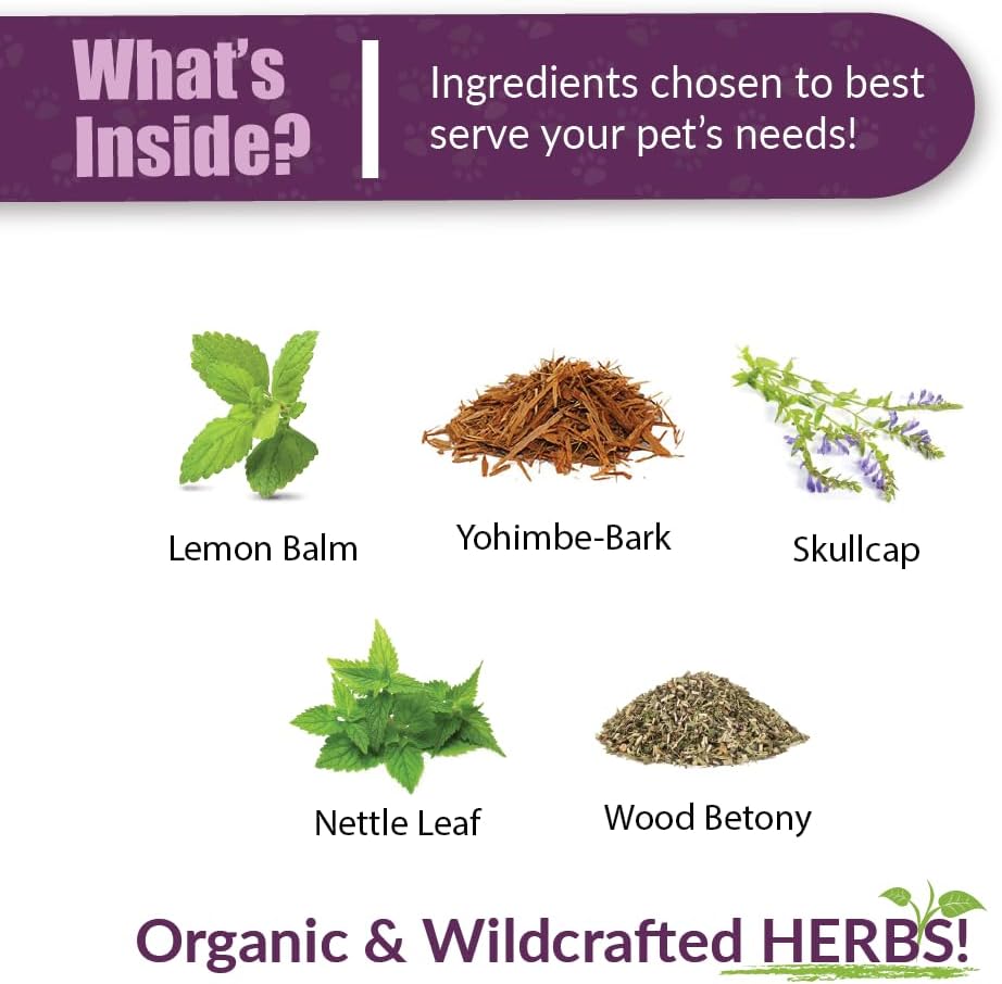 Amber NaturalZ DermaNERV Herbal Supplement for Dogs, Cats, Birds, Rabbits, and Guinea Pigs | Supports Central Nervous System Health & Balanced Behavior | Natural Aid for Healthy Nerve Functions 4