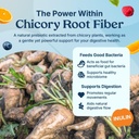 Poop Like a Champion Probiotic Gummies for Kids – USDA Organic, Vegan, Non-GMO, Gentle Digestive Health Support, 60 Gummies 4