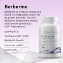 Theralogix Berberine Enhanced Absorption - 30-Day Supply - Made with Berberine Phytosome to Help Support Healthy Metabolism & Hormone Balance* - NSF Certified - 30 Capsules 4