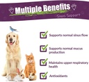Amber NaturalZ Pet C&C Herbal Supplement for Dogs, Cats, Birds, Guinea Pigs, and Rabbits | Pet Herbal Supplement for Healthy Sinus | 1 Fluid Ounce Glass Bottle |Manufactured in The USA 3