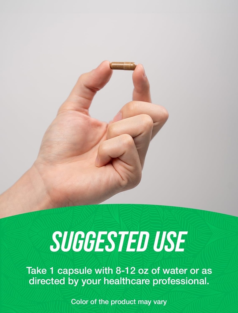 BulkSupplements.com Pygeum Africanum Extract Capsules - Herbal Supplement, from Pygeum Bark - Vegan & Gluten Free, 1 Capsule per Serving, 240 Veg Capsules (Pack of 1) 5