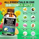 16-in-1 Organic Mullein Drops for Lungs | Mullein Leaf Extract w/Oil of Oregano with Black Seed Oil | Non-GMO&Gluten Free Respiratory Health Liquid Drops | Mullein Supplement Cleanse for Smokers 3