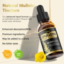 Mullein Drops for Lungs, Natural Mullein Leaf Extract, Respiratory Support & Lung Cleanse Herbal Supplement, Vegan - 2 fl oz 6