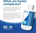 BEAM Minerals Micro-Boost | Complete Mineral Supplement | All The Minerals, Without All The Pills | 32 fl Oz 4
