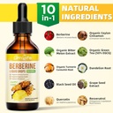 Berberine Supplement, 1500mg Organic Berberine Liquid Drops with Ceylon Cinnamon, Bitter Melon - Supports Immune and Metabolism, Vegan, Pineapple Flavor-2 FL Oz 4