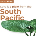 LEILO | Kava Powered Moscow Mule Mocktail Drink | 12-Pack – Sugar-Free & Non-ALC Functional Relaxation Support | 12 fl oz Cans (Pack of 12) 4