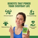 Daily2Tab - All You Need Multivitamin Plus Multimineral Formula. 26 Essential Nutrients for Women and Men, 60 Tablets 4