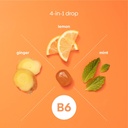 Upspring Stomach Settle Nausea Relief Drops - Fast-Acting Pregnancy Nausea Relief & Morning Sickness Relief with Ginger, Lemon, Spearmint, Honey & B6, Lemon-Ginger-Honey Flavor, 28 Drops 4