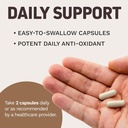 Korean Red Panax Ginseng 1500mg - High Potency Ginseng for Energy, Performance & Immune Support for Men & Women - Pure Ceylon Cinnamon Capsules for Enhanced Well-Being - 1500mg per Serving 6