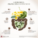 Dr Clark Store Green Black Walnut Hull Tincture - Highly Potent Formula with Black Walnut Extract - All Natural Intestine Support Black Walnut Tincture Comes with a Dropper, 2 fl. oz (60cc) 5