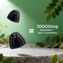 Vitamatic 2 Packs Sugar Free Moringa Gummies- 10000 mg Equivalent Per Serving (from 50:1 Extract 200 mg)- Complete Green Superfood 20X Extract - 60 Pectin Based Gummies 4