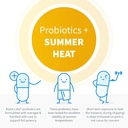 Klaire Labs SFI Health Ther-Biotic Complete - Hypoallergenic Probiotics for Women & Men - Acid-Stable Probiotic Supplement - 12 Species for Immune & Digestive Health - 25 Billion CFU (2 Pack) 4