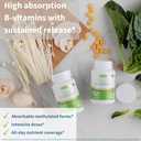 Super B-Complex Bundle, 180 Sustained-Release Tablets & 20 Orange Flavor Effervescent Tablets for Fast Energy On The Go, by Igennus 3