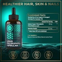 Liquid Chlorophyll Drops with Spirulina for Water - Full Strength Energy, Wellness, Immune Support Supplement - 50mg Chlorophyll Liquid, 12.5mg Spirulina - Lemon Flavor Detox Drink - 2oz, 118 Servings 4