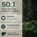 Jungle Powders Fadogia Agrestis Extract for Men 50:1 Concentration 313 Servings - 5 Ounces of Pure Nigerian Fadogia Supplement Traditional Mens Health Support for Drive & Passion Contains Maltodextrin 5