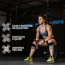 Xwerks Grow 100% New Zealand Grass Fed Whey Protein, 23g Pure Isolate Protein Powder Per Serving, All Natural Paleo and Keto Friendly, Soy Free Gluten Free Easy to Digest, Peanut Butter, 30 Servings 4