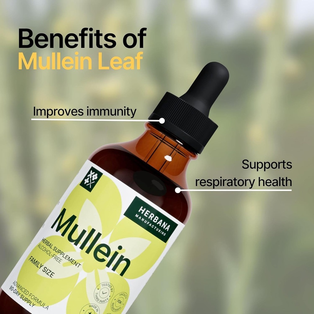 Mullein Leaf 4 fl oz Liquid Extract - Natural Lung Cleanse & Detox Supplement - Respiratory Health and Immune Support Tincture - Family Size - High Potency Drops - 90-Day Supply 4