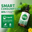 120ml Mullein Leaf Tincture - Lung Cleanse - Vegan Lung Detox - Respiratory Health and Immune Support Drops - Natural Supplement Liquid Extract 4 fl.oz.Chlorophyll 4