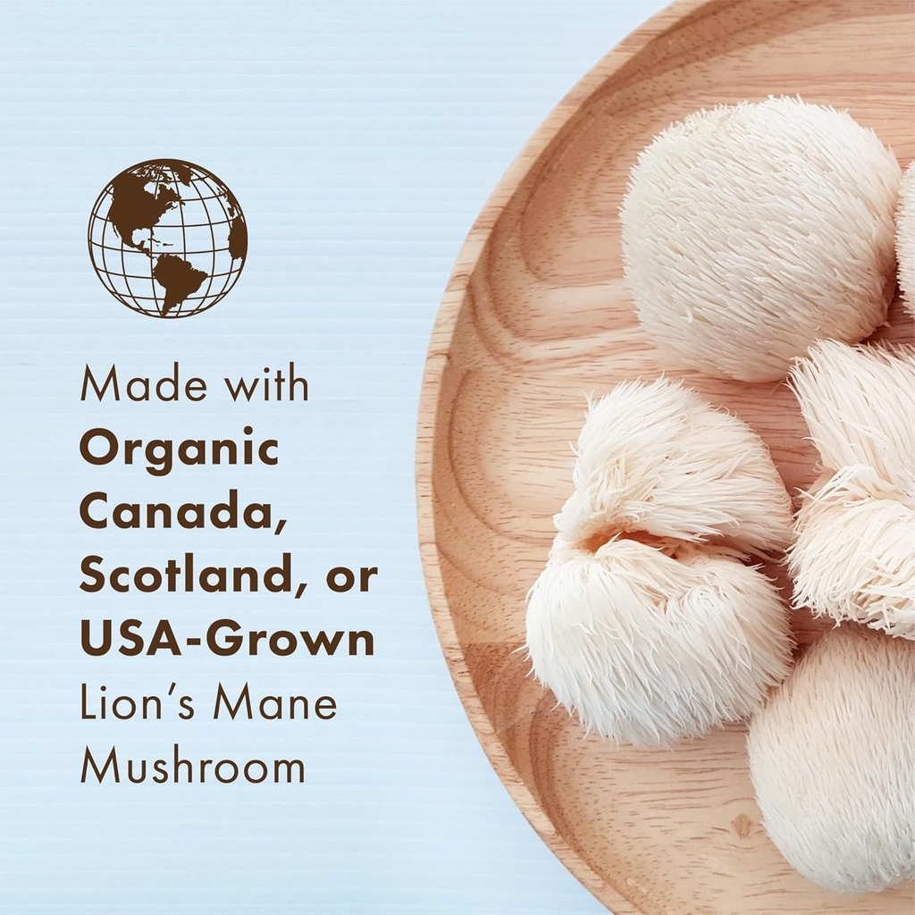 PURE ESSENCE LABS MyPure Lion's Mane 2X - Double Strength Brain Support Supplement with 100% Organic Fruiting Body Lion's Mane for Cognitive Health, Focus, Memory & Mental Clarity, 60 Capsules 4