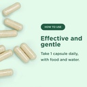 Yuve 100% Vegan Whole Food Chelated Iron Supplement 18mg – Tasteless, Non-Constipating, Gentle on Stomach, Energy Support – Gluten-Free, Non-GMO, 60 Capsules 5