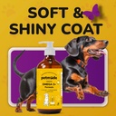 Omega 3 Fish Oil for Dogs Skin and Coat - Wild Alaskan Pollock Oil for Itchy Skin- Omega 3 Fatty Acids for Dogs - Liquid EPA & DHA Supplements - with Zinc, Vitamin C, B2, B7 & E - 16 Fl Oz 6