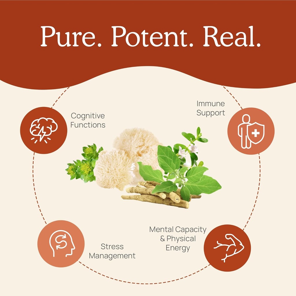 Real Mushrooms RealClarity (60ct) and Turkey Tail (90ct) Capsules Bundle - Mushroom Supplement for Mental Clarity, Focus & Immune Support - Vegan, Non-GMO, Verified Levels of Beta-Glucans 5