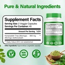 Moringa Capsules | 800mg Pure Moringa Powder Capsules – Supports Energy, Skin & Gut Health, Immune System – Green Superfood with Vitamins & Amino Acids (90 Caps) 3