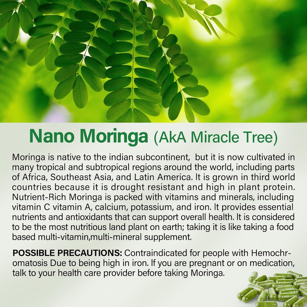 Moringa Capsules | 800mg Pure Moringa Powder Capsules – Supports Energy, Skin & Gut Health, Immune System – Green Superfood with Vitamins & Amino Acids (90 Caps) 4