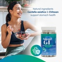 Amend GI All-Natural Stomach Health Support 60 Capsules - Nutraceutical for Stress-Induced Ulcer Symptoms - Supports Healing and Digestive Health with Asiatica Extract & CM Chitosan 4