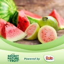 The Secret Nature of Fruit Beauty Chews, Real Fruit Powered Vitamin Chews with Vitamins A & E, Biotin, CoQ10, Strawberry & Pomegranate for Healthy Hair, Skin & Nails, Gummy, (60 Count) 6