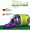 Essentialife Lions Mane Mushroom Supplement | 5-in-1 Mushroom Gummies with Turkey Tail, Cordyceps, Reishi, Chaga Extract | Brain Focus and Immune Support for Women Men, Raspberry Flavor, 60 ct 4