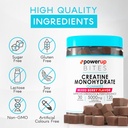 Creatine Monohydrate Gummies for Men & Women, 100% Creatine Mixed Berry Gummies, 5g per Serving + Vegan, Sugar Free + Strength, Energy, Muscle & Booty Gain - 120 Count 6