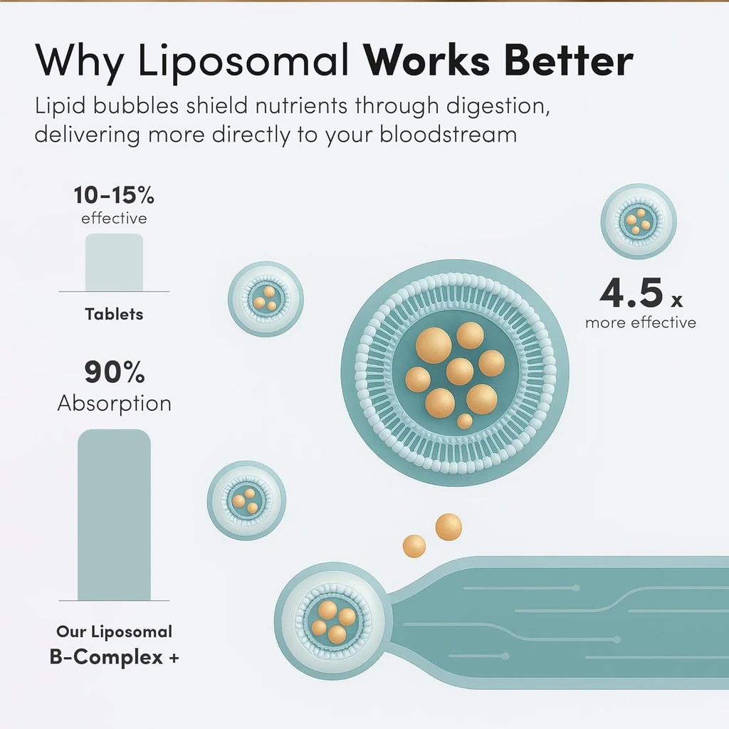 Aurora Nutrascience Mega-Liposomal B-Complex + Vitamin C, Supports Energy, Immune & Nervous System Health, Gluten Free, Non-GMO, Sugar-Free, Organic Fruit Flavor, 32 Servings, 16 Fl oz 4