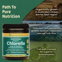 Biogenesis Organic Chlorella Tablets – 600 Count (500mg) | Australian Grown | BioDynamic Cracked Cell Wall | Rich in Chlorophyll, Vitamins & Minerals | Supports Energy & Immunity | Vegan Tablets 6