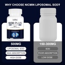 Superoxide Dismutase Supplement 500mg - SOD Plus with liposomal glutathione, AKG, Green Tea Extract, L-Arginine, Lysine, Resveratrol and Vitamin E for Immune Support, Antioxidant 60 Capsules 4