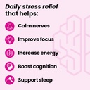 NeuroQ Calm Focus Capsules - Stress Relief Supplement - Supports Mental Function & Relaxation - Sensoril Ashwagandha, Magnesium, GABA, L-Theanine, Andean Cocoa & Kava Kava - 60 Capsules 3